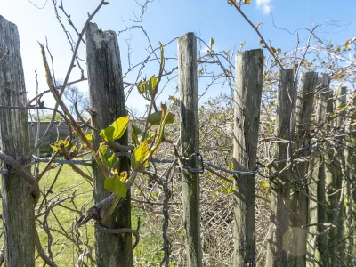 Holiday apartment Zand en Golven - Outdoor photo 7