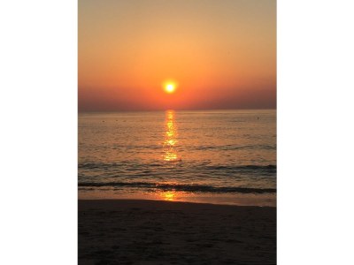 Holiday apartment Zand en Golven - Environment photo 20