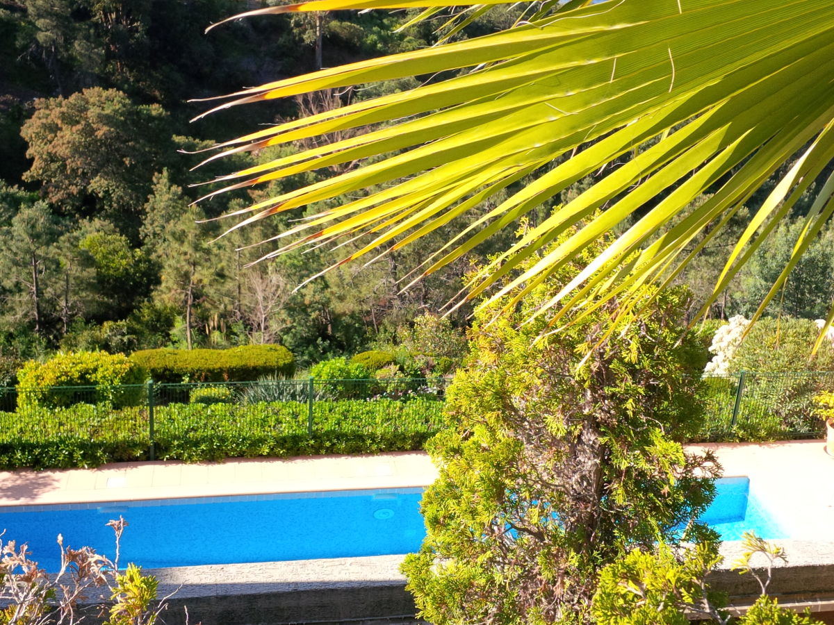 Apartment Les Terrasses de l'Esterel - Outdoor photo 5