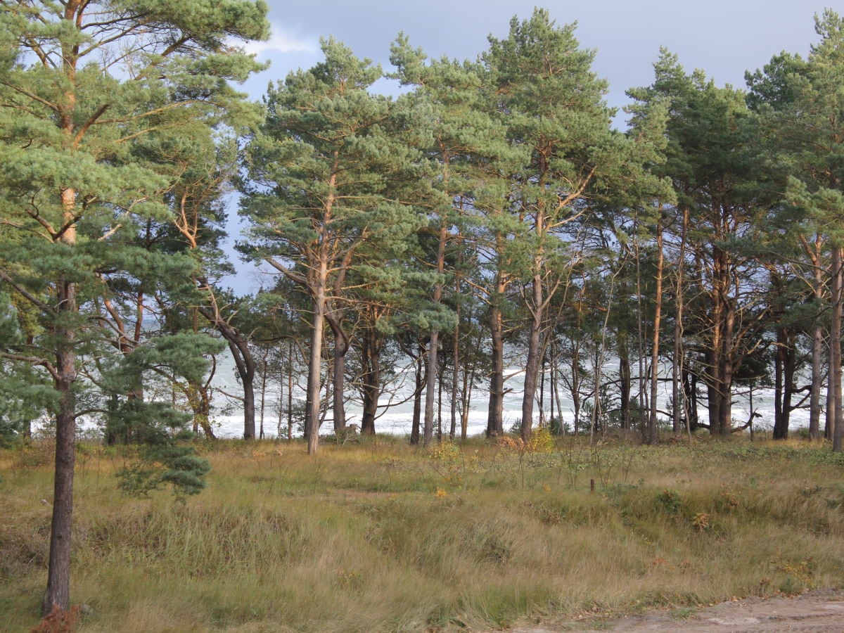 Apartment 9 "In Düne 7 auf Wolke 7" - Outdoor photo 5