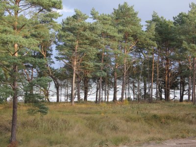 Apartment 9 "In Düne 7 auf Wolke 7" - Outdoor photo 5