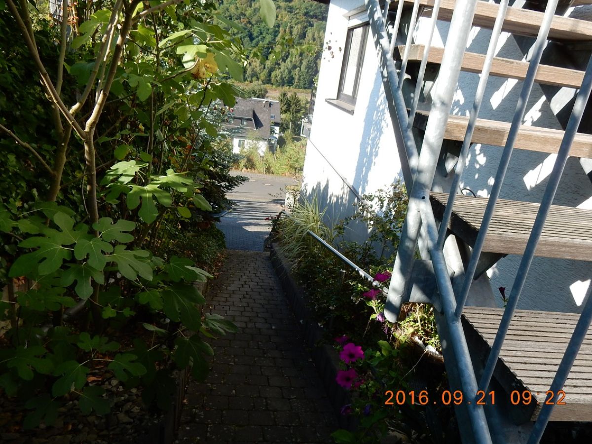 Holiday apartment Moselle panorama - Outdoor photo 2
