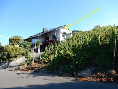 Holiday apartment Moselle panorama in Enkirch - Holiday apartment