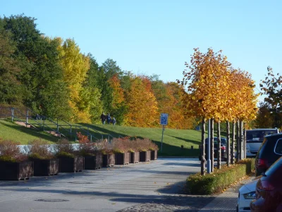 Holiday apartment strand & gut - Environment photo 23