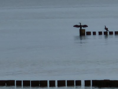 Holiday apartment strand & gut - Environment photo 34