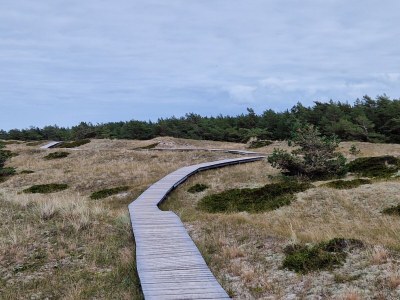 Holiday apartment strand & gut - Environment photo 36