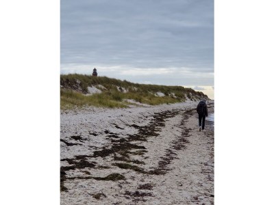 Holiday apartment strand & gut - Environment photo 38