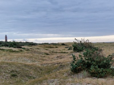 Holiday apartment strand & gut - Environment photo 39