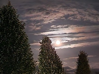 Holiday apartment strand & gut - Environment photo 40