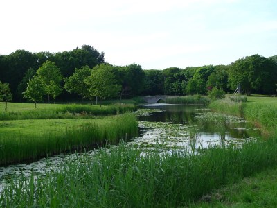 Holiday apartment de Schelp - Environment photo 11