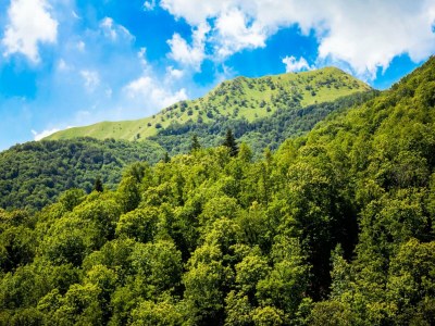 Holiday house Holiday Home in Pascoso near Forest - Environment photo 35