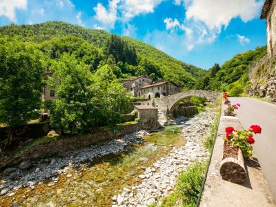 Holiday house Holiday Home in Pascoso near Forest - Environment photo 36