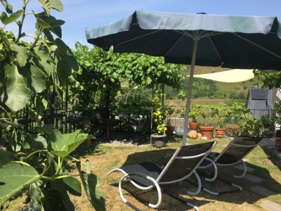 Holiday apartment Panoramablick - Outdoor photo 6