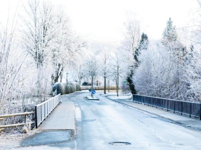 Holiday house Gemütliches Chalet an den Skipisten - Environment photo 32