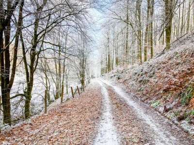 Holiday house Gemütliches Chalet an den Skipisten - Environment photo 33