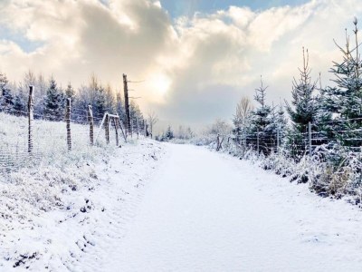 Holiday house Gemütliches Chalet an den Skipisten - Environment photo 35