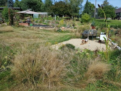 Holiday apartment Müller - Outdoor photo 9