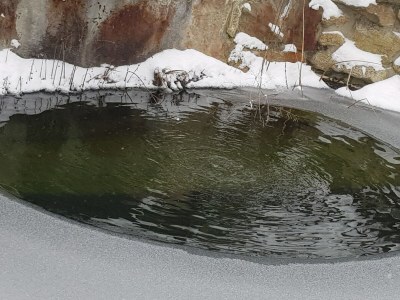 Holiday apartment Müller - Outdoor photo 12