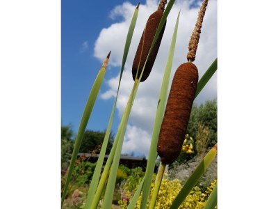 Holiday apartment Müller - Outdoor photo 15