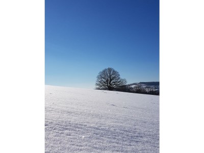 Holiday apartment Müller - Environment photo 35