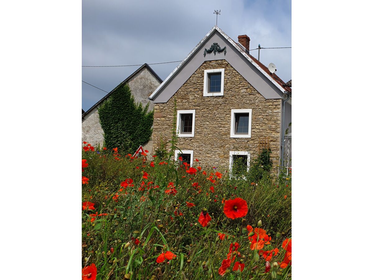 Holiday house Am Eifelsteig - Outdoor photo 2