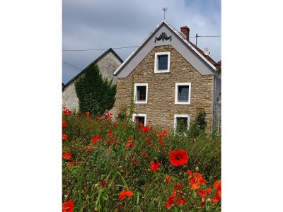 Holiday house Am Eifelsteig - Outdoor photo 2