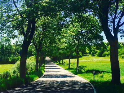 Holiday house Am Eifelsteig - Environment photo 32