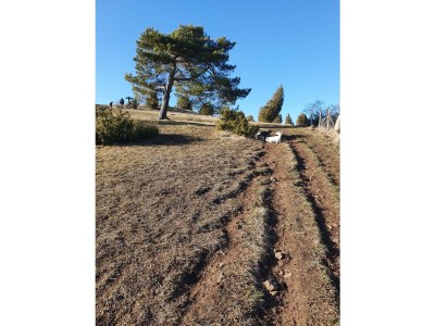 Holiday house Am Eifelsteig - Environment photo 34