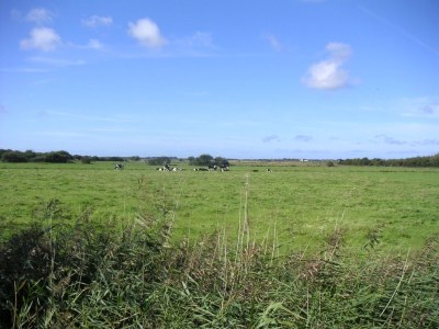 Holiday house Klaar Kimming - Alkersum - Island Föhr - Environment photo 17