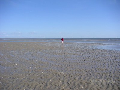 Holiday house Klaar Kimming - Alkersum - Island Föhr - Environment photo 19