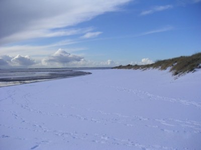 Holiday house Klaar Kimming - Alkersum - Island Föhr - Environment photo 20