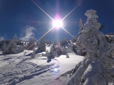 Apartment Jochberg - Environment photo 19