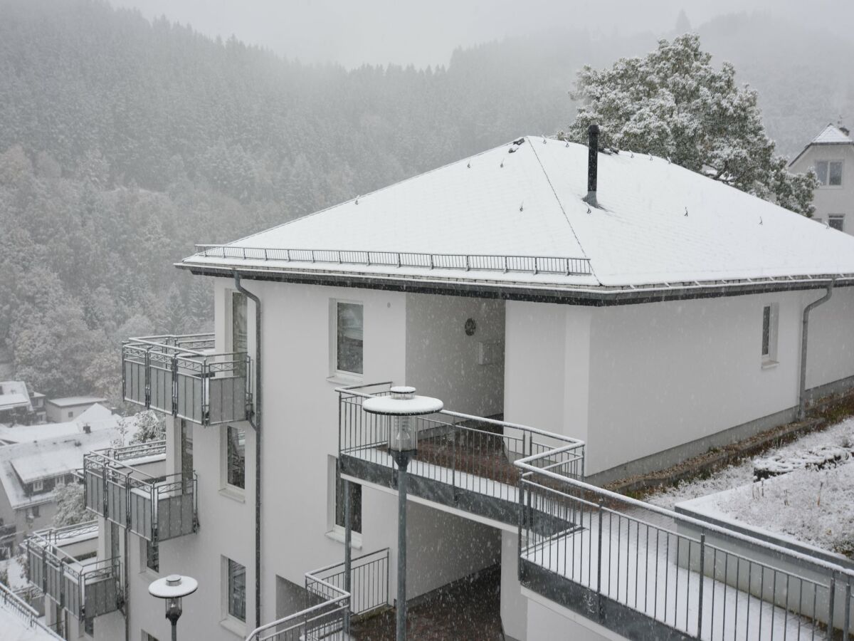 Apartment Modernes Apartment in Willingen mit Balkon