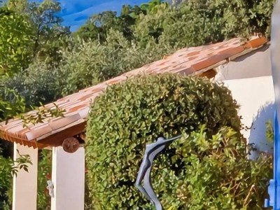 Villa Sonniger Kurzurlaub in der Provence - Outdoor photo 14