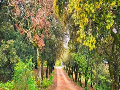 Villa Sonniger Kurzurlaub in der Provence - Environment photo 28