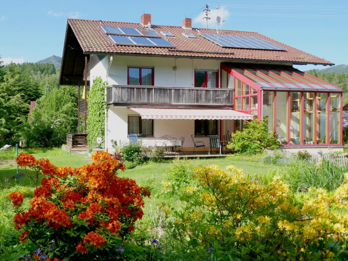 Holiday apartment im Haus am Bramersbach - Outdoor photo 3