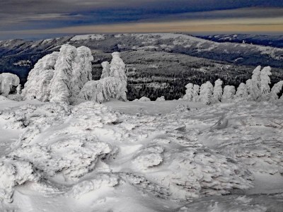 Holiday apartment im Haus am Bramersbach - Environment photo 10