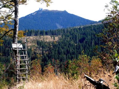 Holiday apartment im Haus am Bramersbach - Environment photo 11