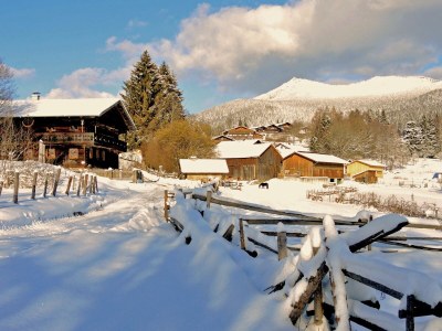 Holiday apartment im Haus am Bramersbach - Environment photo 12