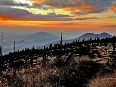 Holiday apartment im Haus am Bramersbach - Environment photo 13