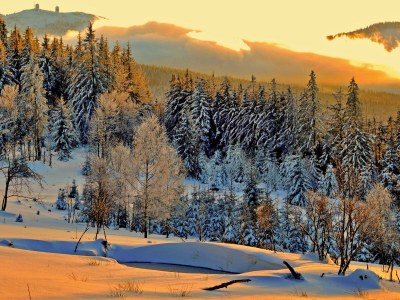 Holiday apartment im Haus am Bramersbach - Environment photo 15