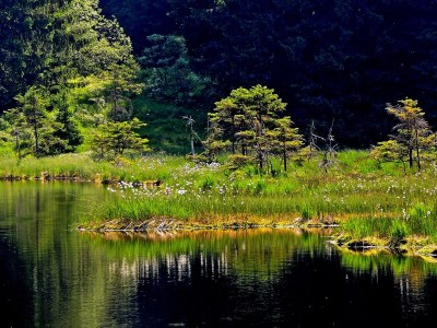 Holiday apartment im Haus am Bramersbach - Environment photo 16