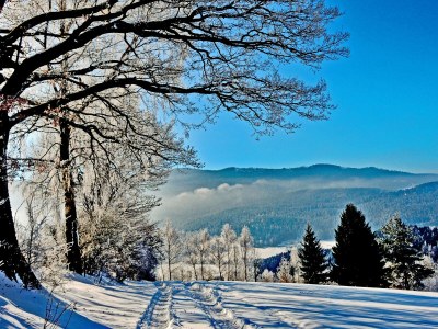 Holiday apartment im Haus am Bramersbach - Environment photo 17