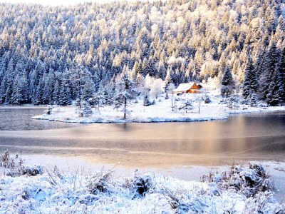 Holiday apartment im Haus am Bramersbach - Environment photo 20