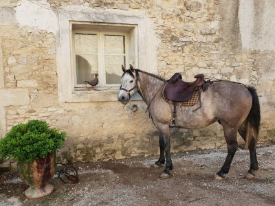 Villa Elegantes Haus mit Swimmingpool in Hérault - Outdoor photo 4