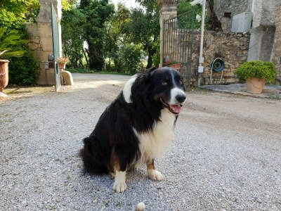 Villa Elegantes Haus mit Swimmingpool in Hérault - Outdoor photo 16