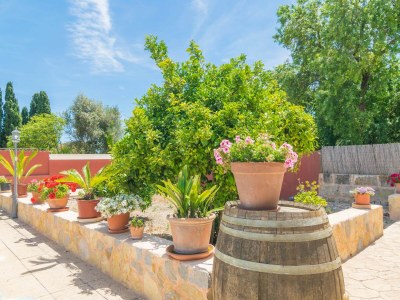 Finca Es Blanquer De Na Fani - Outdoor photo 7