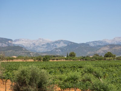 Finca Es Blanquer De Na Fani - Environment photo 59