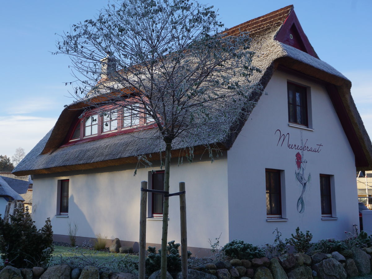 Holiday house Meeresbraut - Outdoor photo 4