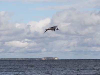 Holiday house Meeresbraut - Environment photo 22